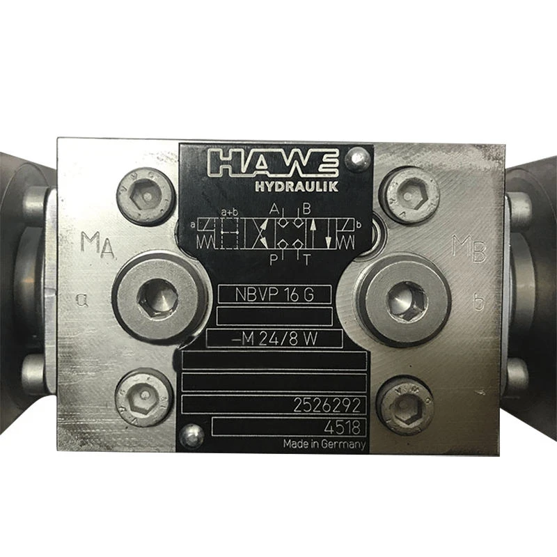 BVG BVE BVP HAWE Check Valve